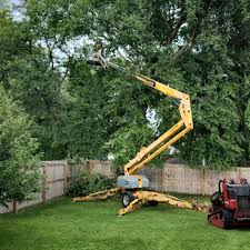 Mulching Services in Pine Valley, CA